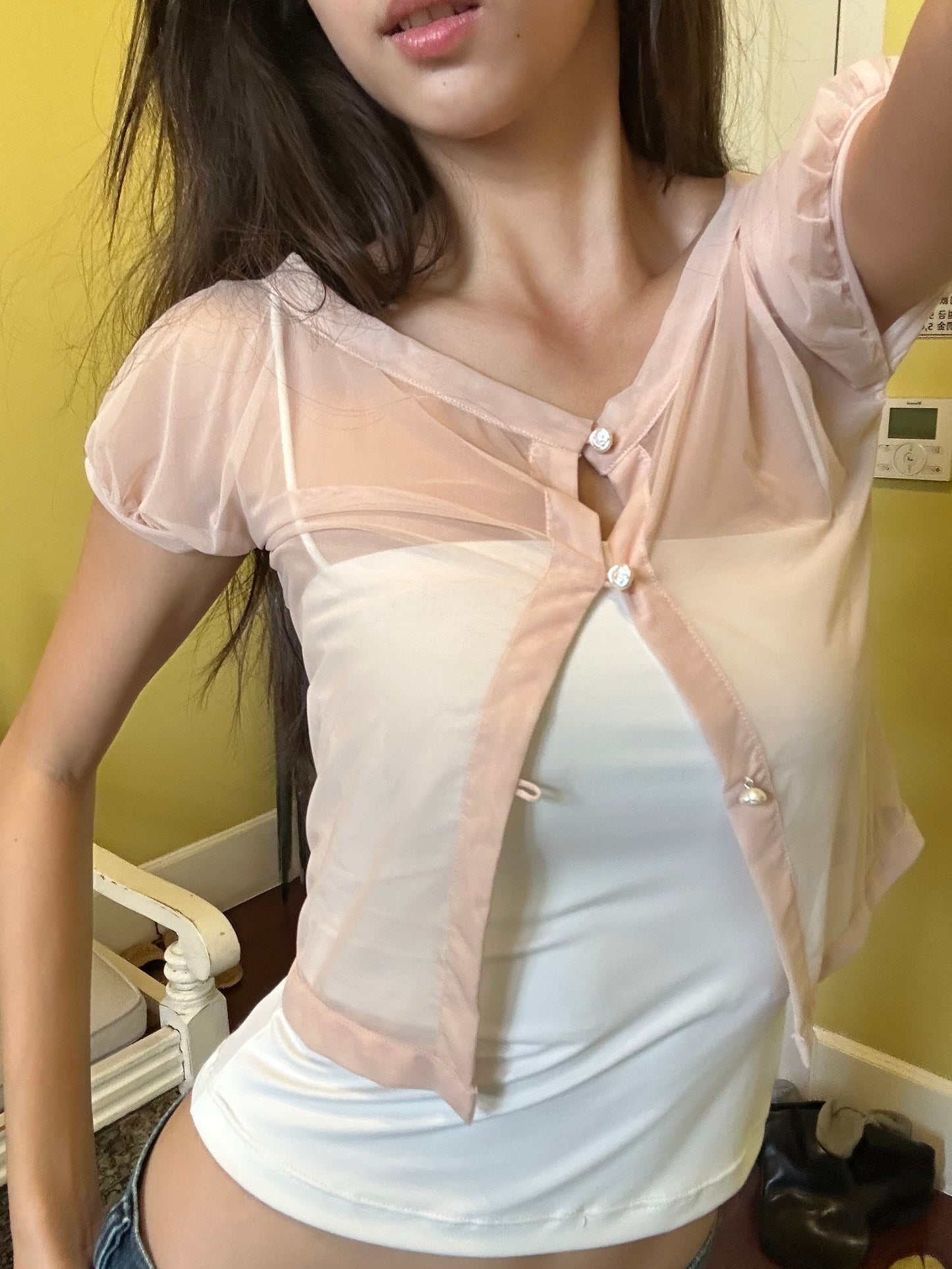 DAPHNE BLUSH—SHEER PEACH TOP