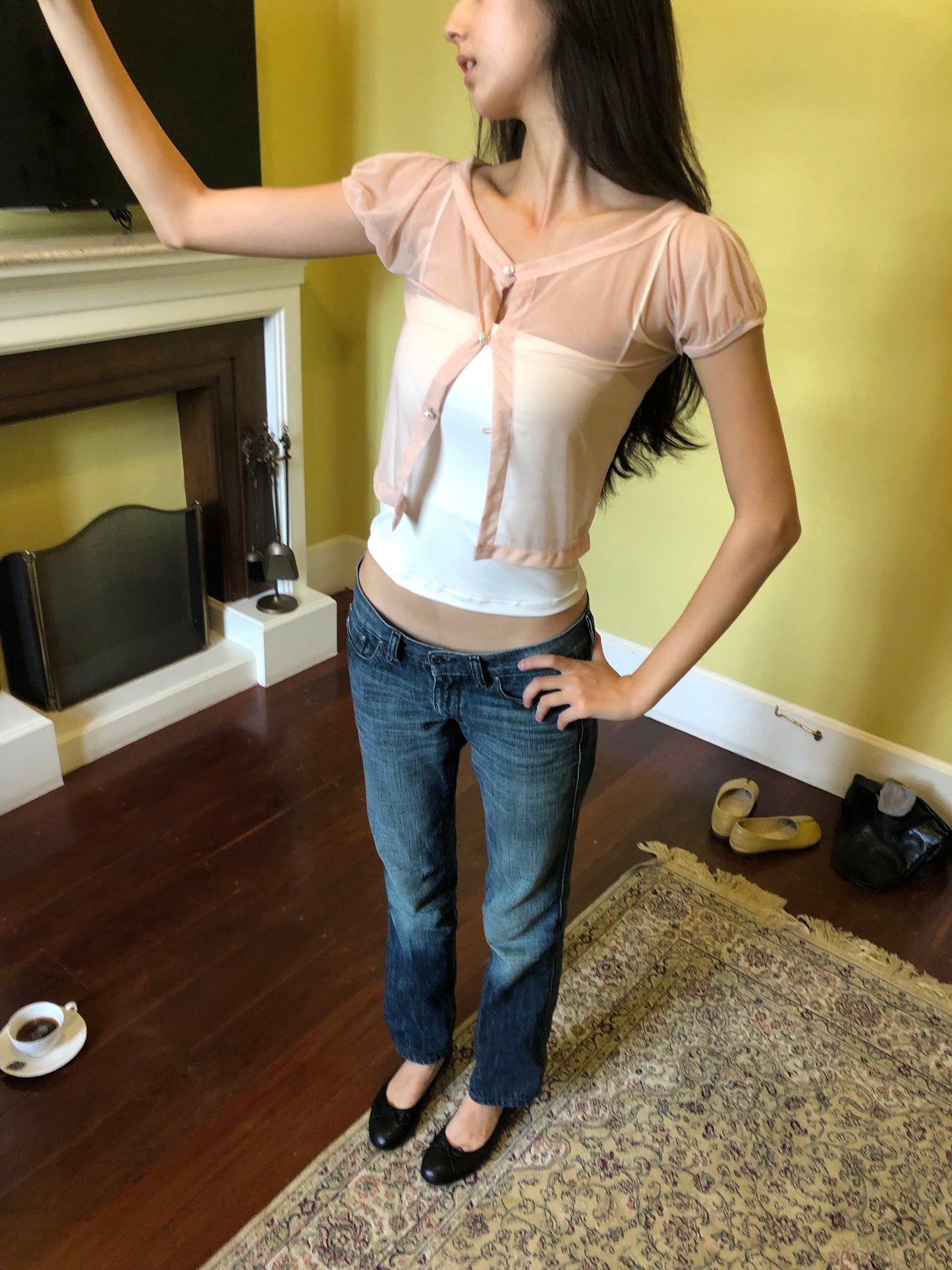 DAPHNE BLUSH—SHEER PEACH TOP